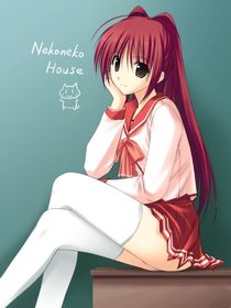 vixenp
